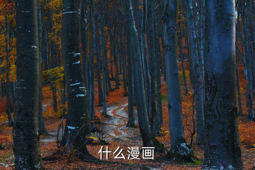 惡漫畫，什么漫畫