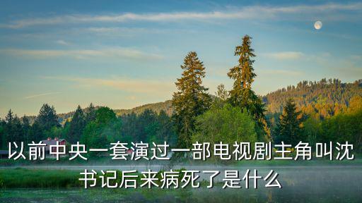 以前中央一套演過一部電視劇主角叫沈書記后來病死了是什么