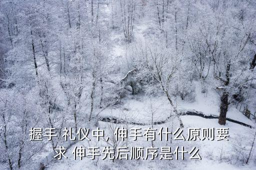  握手 禮儀中, 伸手有什么原則要求 伸手先后順序是什么
