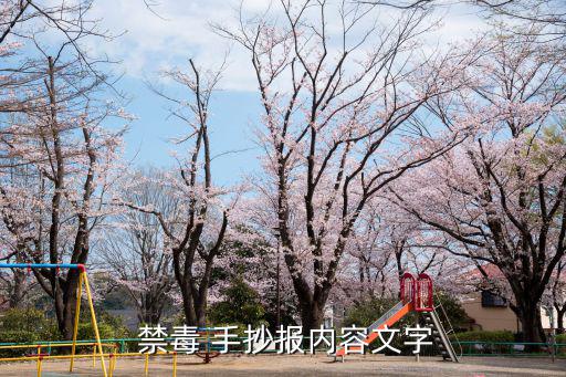 禁毒手抄報全國一等獎,【禁毒手抄報》:毒必除，販毒必懲