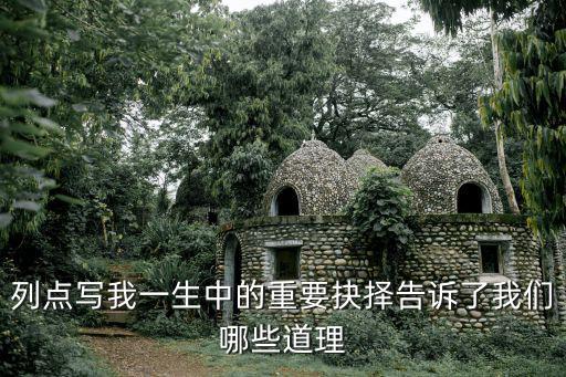 列點寫我一生中的重要抉擇告訴了我們哪些道理