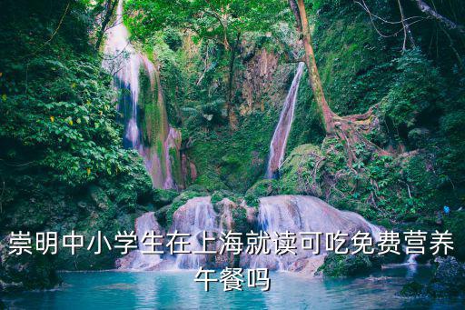 上海市對中小學生午餐補貼，崇明中小學生在上海就讀可吃免費營養午餐嗎