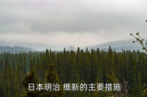 日本維新,日本資本主義全面西化現代化改革始于1868年