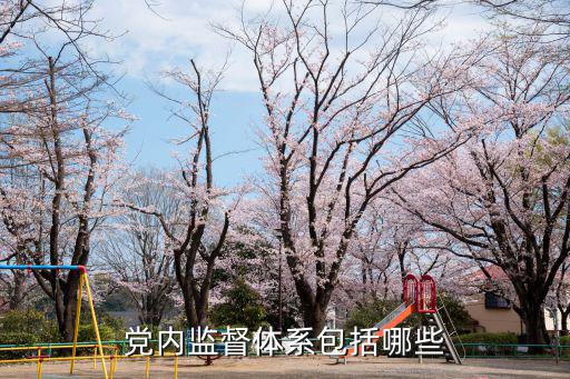黨內監督體系包括哪些