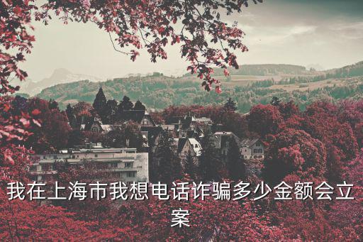 我在上海市我想電話詐騙多少金額會立案