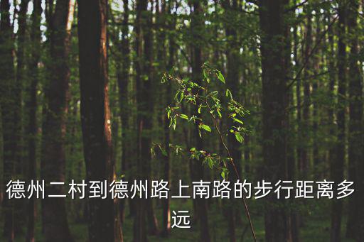 德州二村到德州路上南路的步行距離多遠