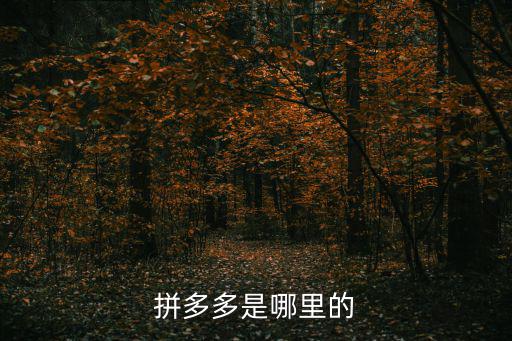 拼多多是哪里的