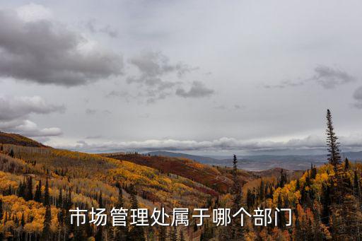 管理處，保山市隆陽區出入境管理處在哪兒
