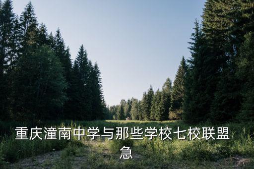 重慶潼南中學與那些學校七校聯盟  急