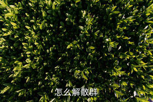 怎么解散群