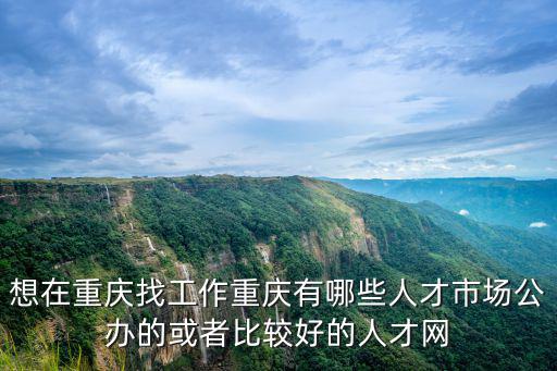 重慶市就業中心網，想在重慶找工作重慶有哪些人才市場公辦的或者比較好的人才網