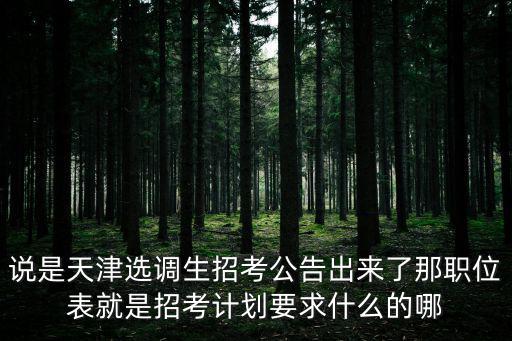 說是天津選調(diào)生招考公告出來了那職位表就是招考計劃要求什么的哪