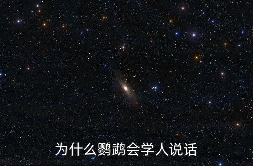 為什么鸚鵡會(huì)學(xué)人說話