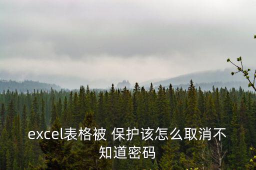 excel表格被 保護該怎么取消不知道密碼