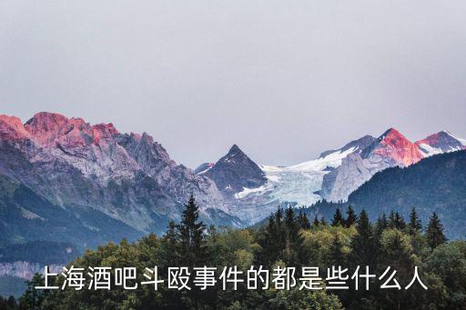 上海酒吧斗毆事件的都是些什么人