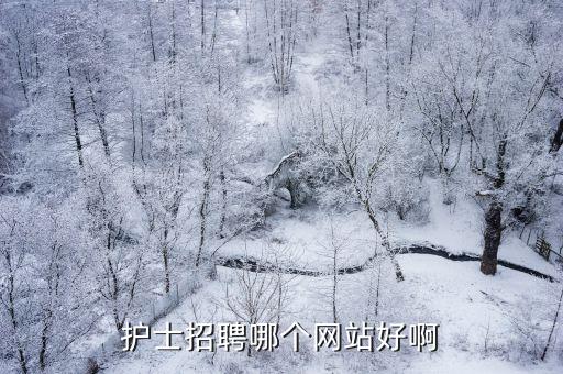 上海招聘護(hù)士網(wǎng)，上海哪家醫(yī)院招聘護(hù)士