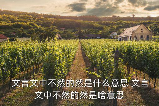  文言文中不然的然是什么意思 文言文中不然的然是啥意思
