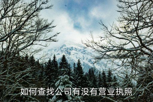 如何查找公司有沒有營業執照