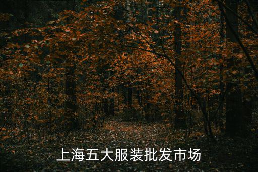 上海五大服裝批發(fā)市場