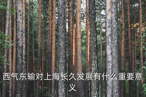 西氣東輸對(duì)上海長(zhǎng)久發(fā)展有什么重要意義