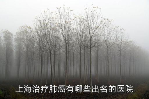 上海治療肺癌有哪些出名的醫(yī)院