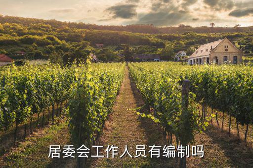 上海居委書記編制規定，居委會工作人員有編制嗎