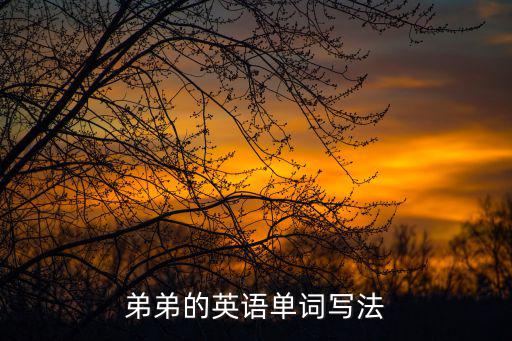 弟弟的英語單詞寫法
