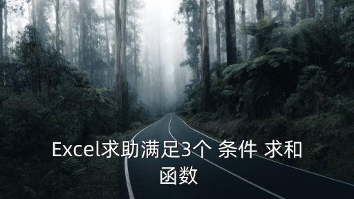 Excel求助滿足3個(gè) 條件 求和 函數(shù)