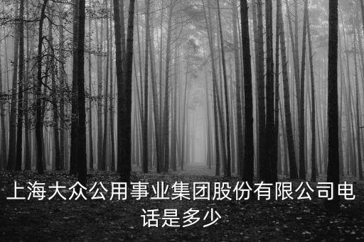 上海大眾公用事業(yè)集團股份有限公司電話是多少