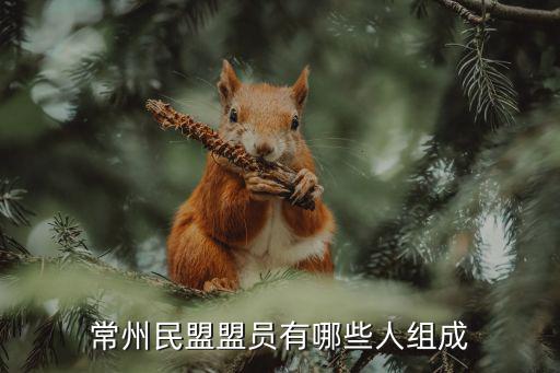 中國民盟成員名單，沈從文 是民盟盟員嗎