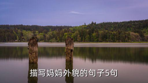 描寫媽媽外貌的句子5句