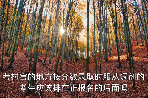 考村官的地方按分數錄取時服從調劑的考生應該排在正報名的后面嗎