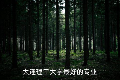 大連理工大學最好的專業