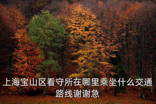 上海寶山區看守所在哪里乘坐什么交通路線謝謝急
