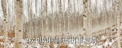 excel如何篩選出重復(fù)項(xiàng)