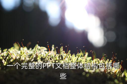 一個完整的PPT文檔整體結構包括哪些