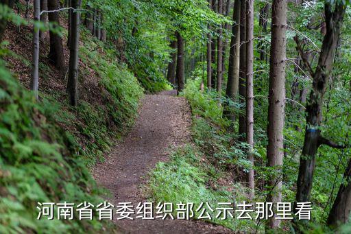 河南省省委組織部公示去那里看
