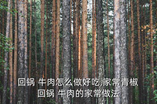  回鍋 牛肉怎么做好吃,家常青椒 回鍋 牛肉的家常做法