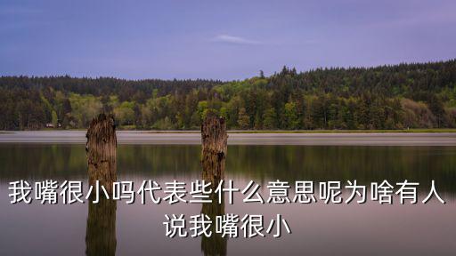 我嘴很小嗎代表些什么意思呢為啥有人說我嘴很小