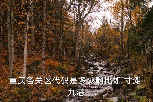 重慶各關(guān)區(qū)代碼是多少啊比如 寸灘 九港
