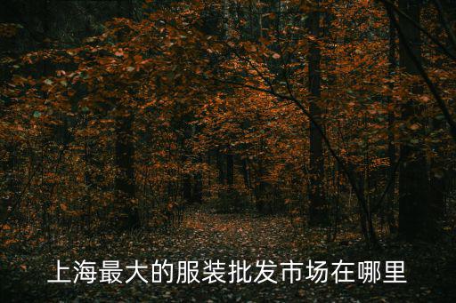 上海市區(qū)服裝批發(fā)市場(chǎng)在哪里，上海五大服裝批發(fā)市場(chǎng)