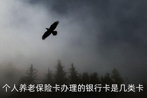 個人養(yǎng)老保險卡辦理的銀行卡是幾類卡