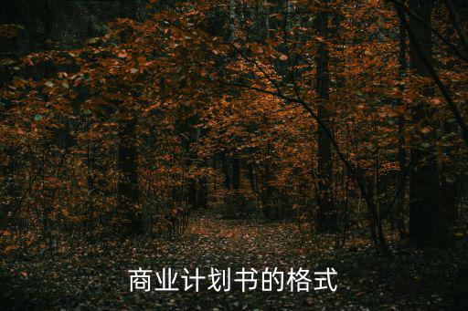 商業策劃書模板，商業地產策劃書模板