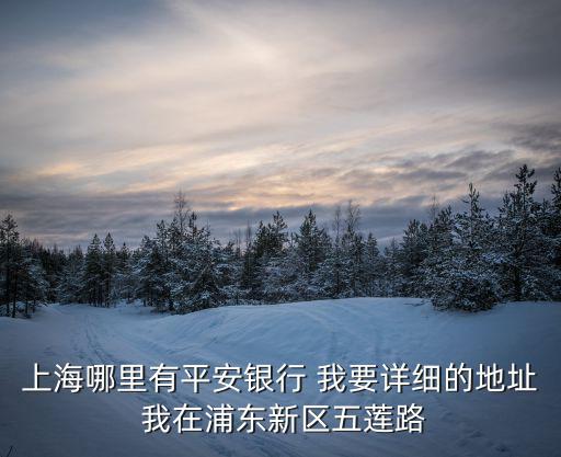 上海哪里有平安銀行 我要詳細(xì)的地址 我在浦東新區(qū)五蓮路