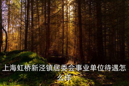 上海虹橋新涇鎮居委會事業單位待遇怎么樣