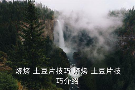  燒烤 土豆片技巧 燒烤 土豆片技巧介紹