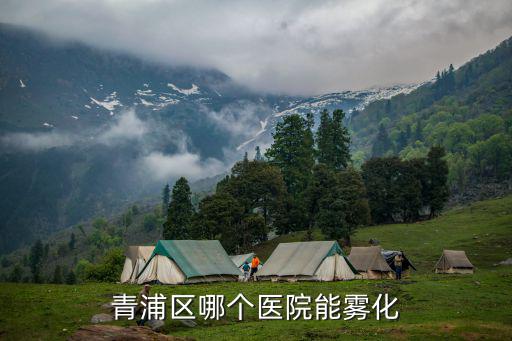 青浦區哪個醫院能霧化
