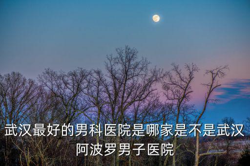 武漢最好的男科醫院是哪家是不是武漢阿波羅男子醫院