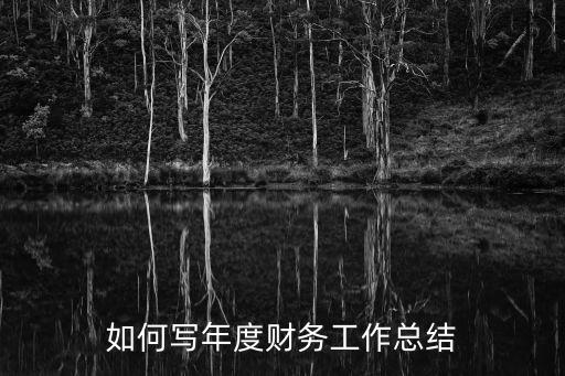 如何寫年度財務工作總結