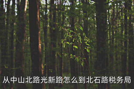 上海市稅務局中山北路，從中山北路光新路怎么到北石路稅務局